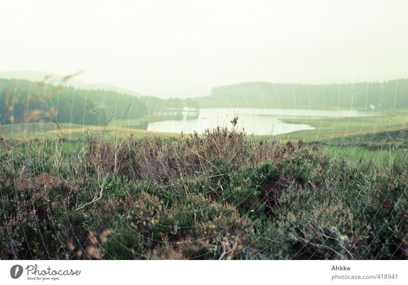 Schottische Moorlandschaft mit See Ferien & Urlaub & Reisen Abenteuer Ferne Natur Landschaft Pflanze Tier schlechtes Wetter Regen Sträucher Berge u. Gebirge