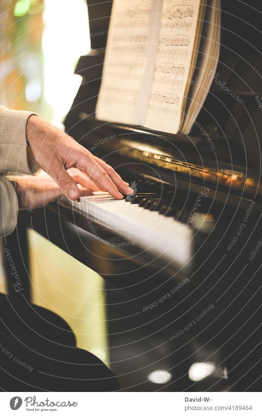 Pianist - Mann spielt Klavier spielen Noten Musiker Leidenschaft Hingabe Emotionen Musikinstrument Gefühlvoll Kultur Hände