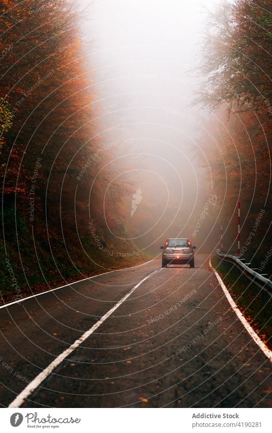 Auto auf einer Landstraße im Laubwald PKW Rücklicht Straße Laufwerk Autoreise Herbst Wald Nebel Mitfahrgelegenheit laubabwerfend Fernstraße Natur Verkehr