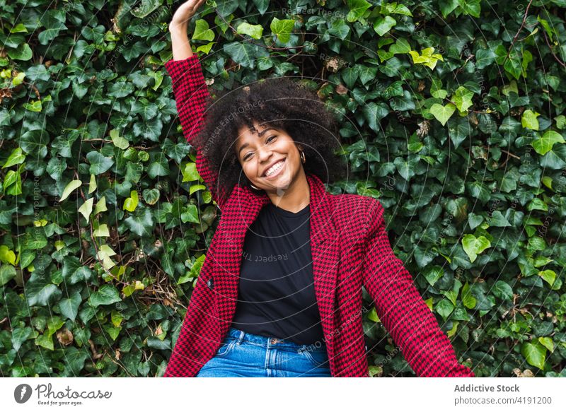 Unbekümmerte ethnische Frau im Park, die in die Kamera schaut sorgenfrei genießen Wochenende Freiheit Freude Sommer Afro-Look Frisur schwarz Afroamerikaner