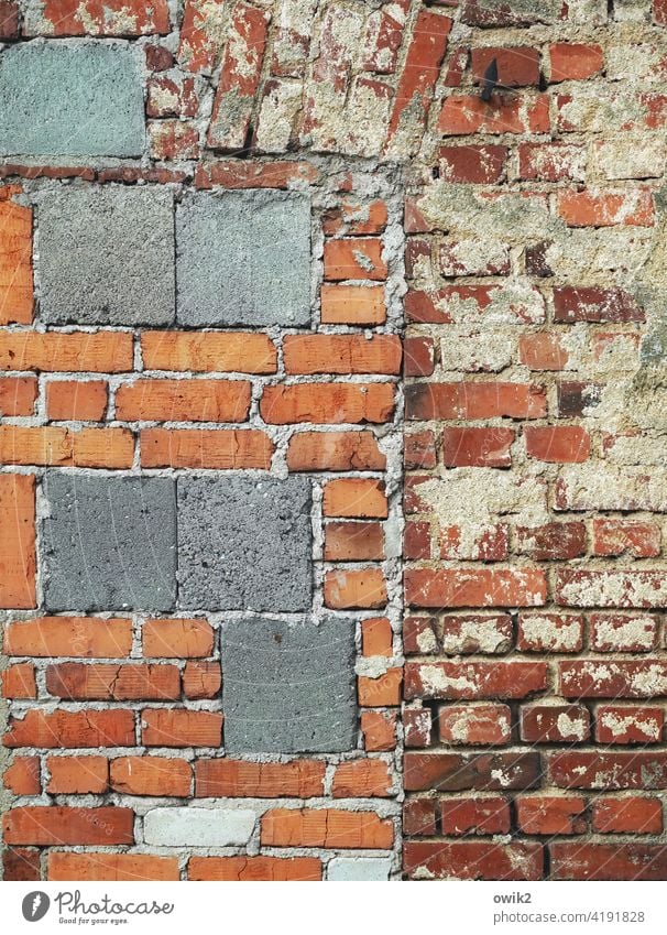 Lückenlos Mauer Wand Backsteinwand Menschenleer Außenaufnahme Farbfoto Detailaufnahme Fassade Muster Strukturen & Formen Gebäude Nahaufnahme Bauwerk ziegelrot