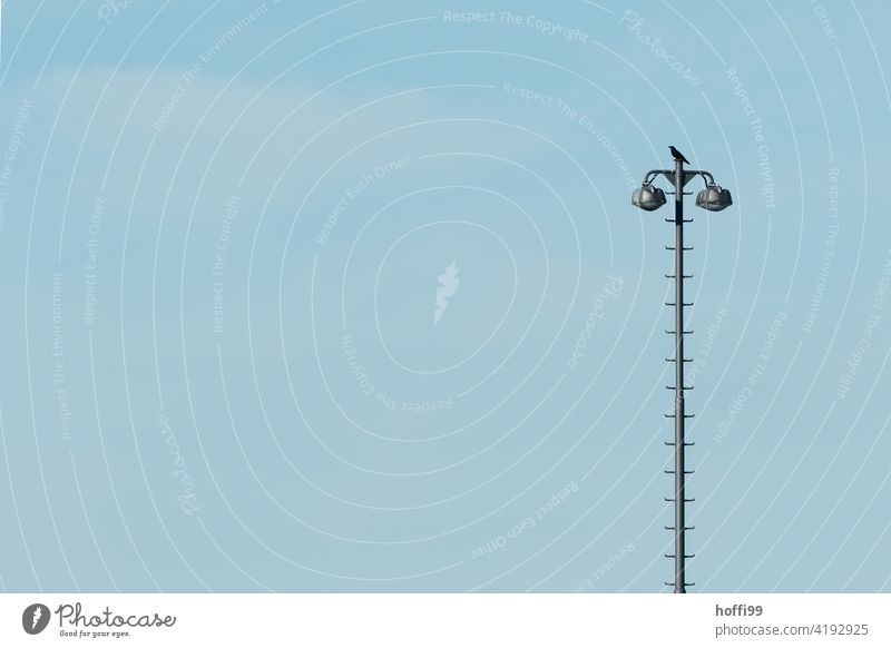 eine Krähe sitz auf einem hoher Flutlichtmast mit Sprossen Rabe Rabenvögel flutlichtmast Strahler Laternenpfahl Beleuchtung Hafen Hafengebiet Lampe hell Vogel