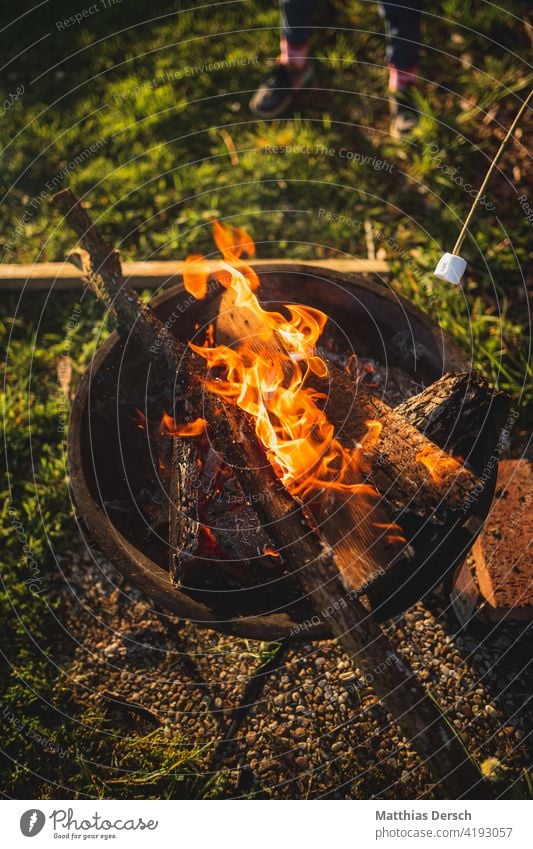 Stockbrot am Lagerfeuer stockbrot Feuer Lagerfeuerstimmung Feuerstelle Feuerschale lagerfeuerromantik Kinder Abenteuer Sommernacht