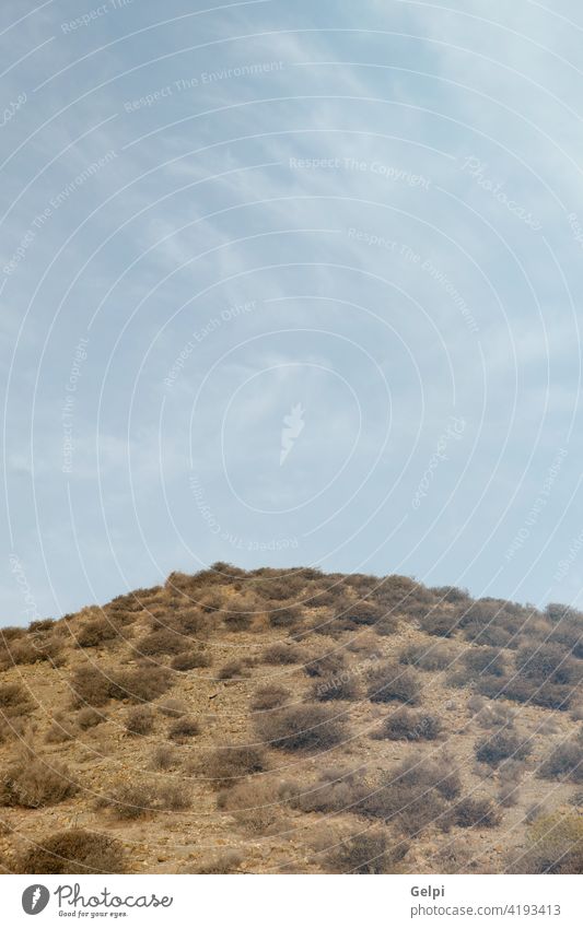 Wüstenort in Almeria gelegen Himmel wüst Natur Spanien Höhe Hügel Landschaft Sommer sehen grün blau sonnig Sonne Berge u. Gebirge Kanarienvogel reisen Ansicht