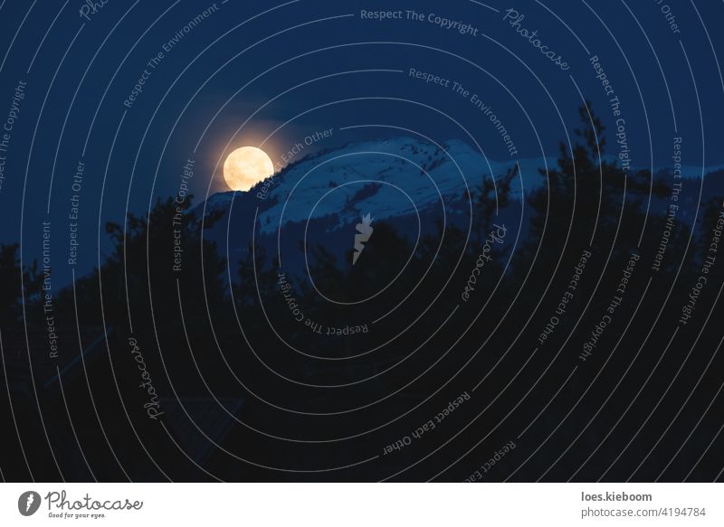 Supermond Einstellung hinter verschneiten alpinen Berg mit immergrünen Wald, Österreich Vollmond Berge u. Gebirge Schnee Baum Silhouette Mond Nacht satt