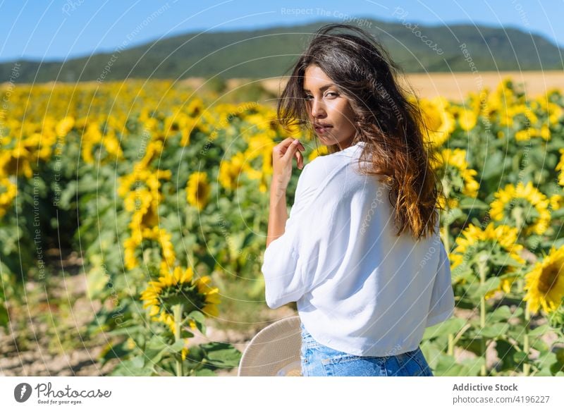 Junge Frau in einem Sonnenblumenfeld im Sommer Feld sorgenfrei Blume gelb Blütezeit genießen Glück stehen Natur positiv Wiese Landschaft jung Optimist natürlich