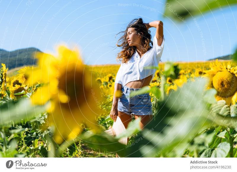 Junge Frau in einem Sonnenblumenfeld im Sommer Feld sorgenfrei Blume gelb Blütezeit genießen Glück stehen Natur positiv Wiese Landschaft jung Optimist natürlich