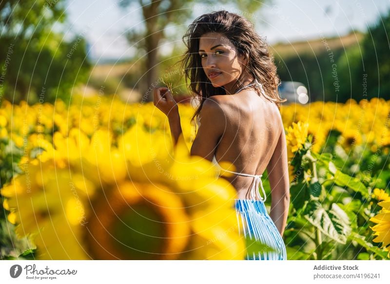 Gelassene Frau im Sonnenblumenfeld Feld Blume Gelassenheit sorgenfrei sonnig Sommer Blütezeit Anmut romantisch ethnisch schlank Flora Landschaft Pflanze geblümt