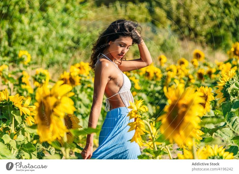 Gelassene Frau im Sonnenblumenfeld Feld Blume Gelassenheit sorgenfrei sonnig Sommer Blütezeit Anmut romantisch ethnisch schlank Flora Landschaft Pflanze geblümt