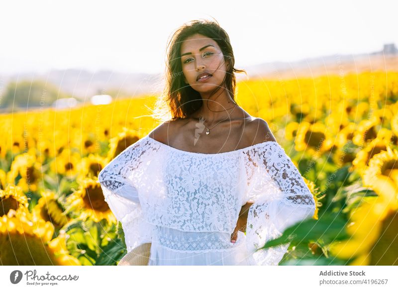 Junge Frau in einem Sonnenblumenfeld im Sommer Feld sorgenfrei Blume gelb Blütezeit genießen Glück stehen Natur Freiheit positiv Wiese Landschaft jung Optimist