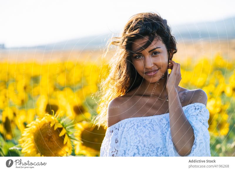 Glückliche Frau im Sonnenblumenfeld im Sommer Feld sorgenfrei Lächeln Blume gelb Blütezeit heiter genießen stehen Natur Freiheit Hand erhoben Arme hochgezogen