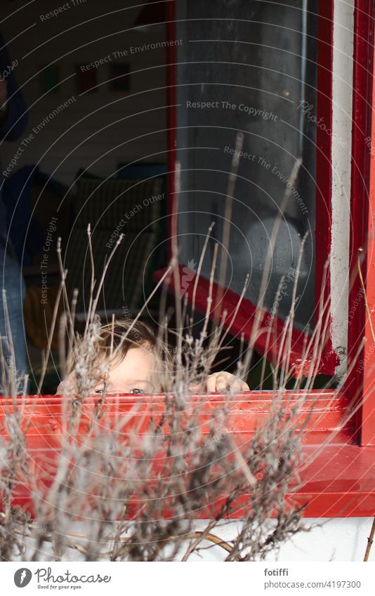 Kleinkind blickt über den Fensterrand Garten Kleingarten Idylle gucken Blick verstecken Kuckuck Kind 1-3 Jahre Freude Spaß haben Blick in die Kamera