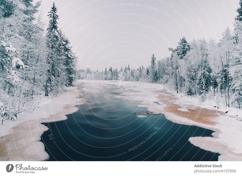 Fluss im verschneiten Winterwald Wald gefroren Wälder Landschaft Winterzeit Wunderland Schnee Wasser Natur spektakulär erstaunlich wunderbar Himmel majestätisch