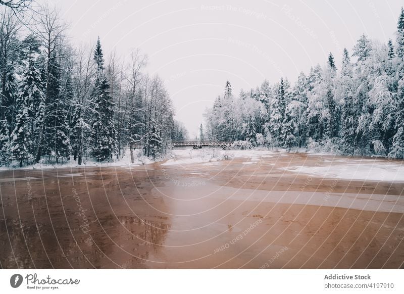 Fluss im verschneiten Winterwald Wald gefroren Wälder Landschaft Winterzeit Wunderland Schnee Wasser Natur spektakulär erstaunlich wunderbar Himmel majestätisch