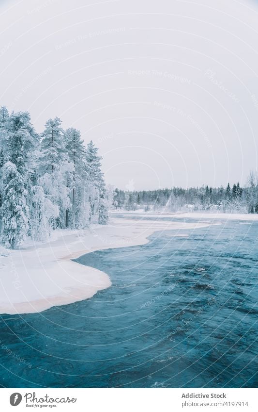 Fluss im verschneiten Winterwald Wald gefroren Wälder Landschaft Winterzeit Wunderland Schnee Wasser Natur spektakulär erstaunlich wunderbar Himmel majestätisch