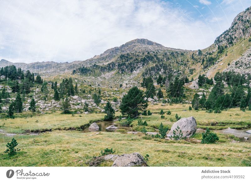 Enger Fluss zwischen Rasenflächen und Steinen im Sommer Wiese Natur Landschaft Grasland vegetieren wellig Grün Einsamkeit hell eng Bach Felsbrocken idyllisch