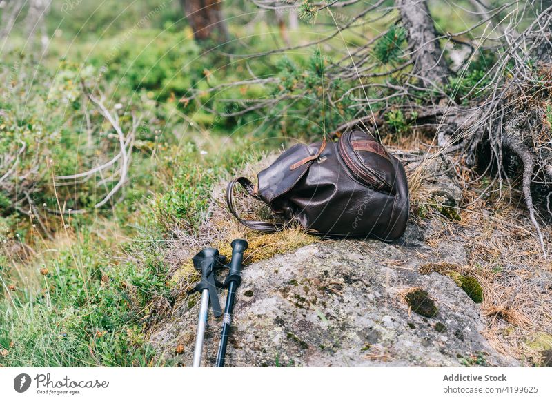 Lederrucksack und Wanderstöcke auf einem Stein im Wald Rucksack laufen Mast Natur Trekking Tasche Abenteuer Wanderung Campingplatz Wälder grasbewachsen