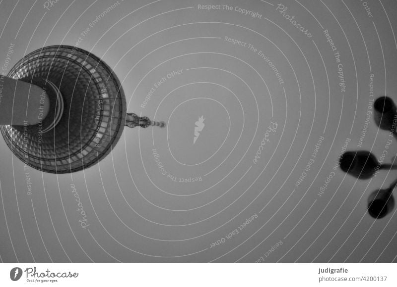 Berlin Fernsehturm Berliner Fernsehturm Alexanderplatz Architektur Hauptstadt Wahrzeichen Turm Sehenswürdigkeit Bauwerk Stadt Gebäude hoch Straßenlampe