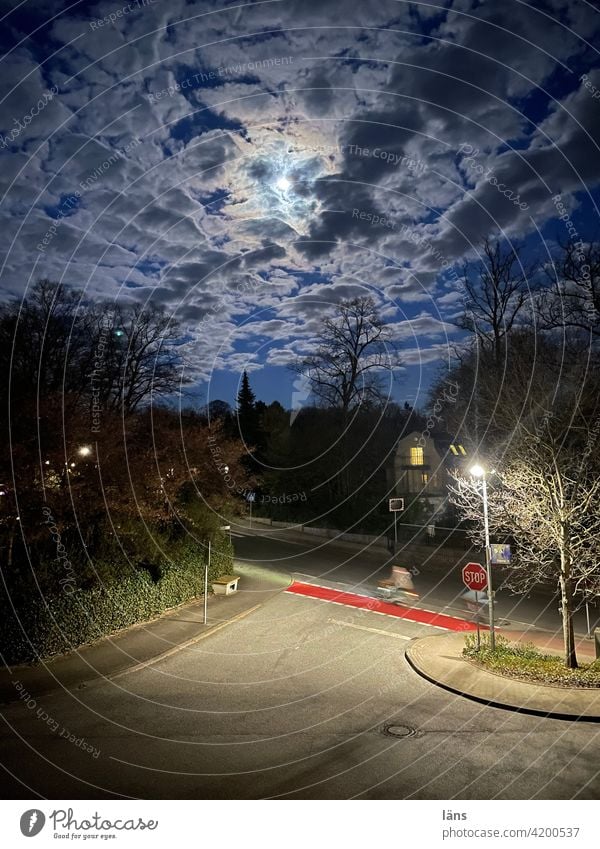 Mondschein Straße Radfahrerin Stopschild Himmel dunkel Wolken Licht Außenaufnahme blau Natur Landschaft Baum Nacht blaue Stunde Verkehrswege Farbfoto