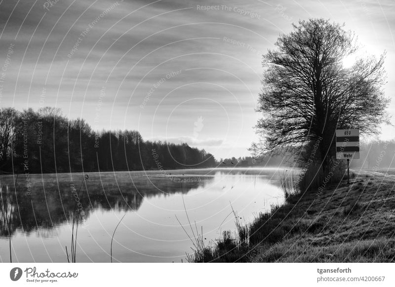 An der Ems am Morgen Wasser Morgenstimmung Morgendämmerung Morgennebel Landschaft Menschenleer ruhig Außenaufnahme Romantik Natur Emsland Traurigkeit Idylle