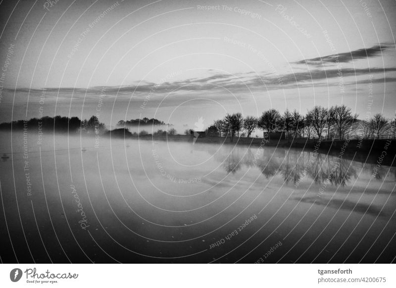 Nebel an der Ems am Morgen Wasser Morgenstimmung Morgendämmerung Morgennebel Landschaft Menschenleer ruhig Außenaufnahme Romantik Natur Emsland Traurigkeit