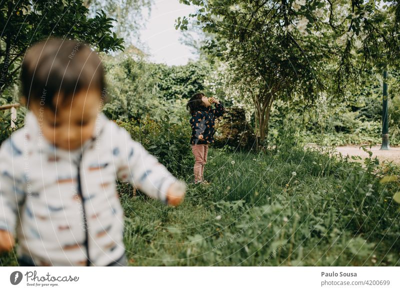 Bruder und Schwester spielen im Freien Geschwister Spielen Familie & Verwandtschaft Zusammensein Kleinkind 2 Junge Kindheit Farbfoto Freundschaft Mensch