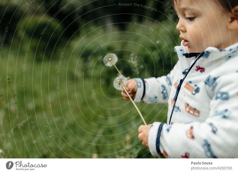 Kind hält Löwenzahn 1-3 Jahre Kaukasier Natur Farbfoto Mensch Kindheit Freude Tag Außenaufnahme Freizeit & Hobby mehrfarbig Lifestyle Spielen niedlich