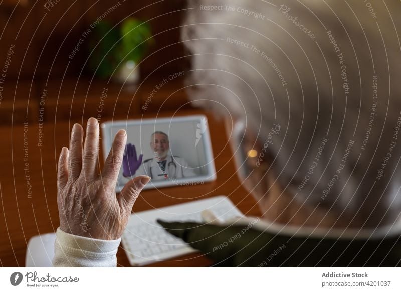 Crop-Frau mit Ohrstöpseln im Videochat auf dem Tablet geduldig Tablette Arzt Beratung Entfernung Gesundheitswesen Drahtlos benutzend Apparatur Mann Gerät