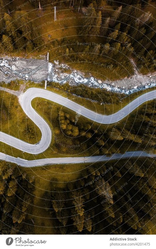 Kurvenreiche Straße durch bewaldete Berge Berge u. Gebirge Wind Serpentine Wald Fahrbahn Berghang Route Ambitus Wälder Italien Dolomiten Gefahr Natur reisen