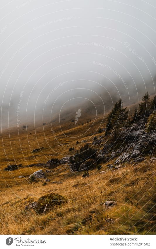 Felsige Berge und grasbewachsene Hügel Berge u. Gebirge Felsen Landschaft Ambitus Natur Hochland Berghang Cloud Gipfel Italien Dolomiten steil malerisch rau