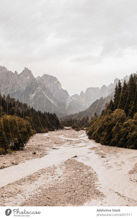 Leere Straße zwischen üppigen Bäumen und Bergen Baum Berge u. Gebirge Natur Route Regie Hochland Landschaft Umwelt Himmel wolkig sandig Fahrbahn trocknen