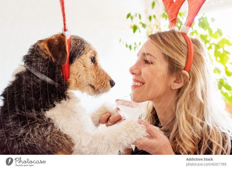 Zufriedene Frau umarmt Foxterrier im Haus Umarmen Fox-Terrier Hund Zahnfarbenes Lächeln Eckzahn dekorativ Hupe Porträt Hirsche kuscheln Säugetier Haustier hell