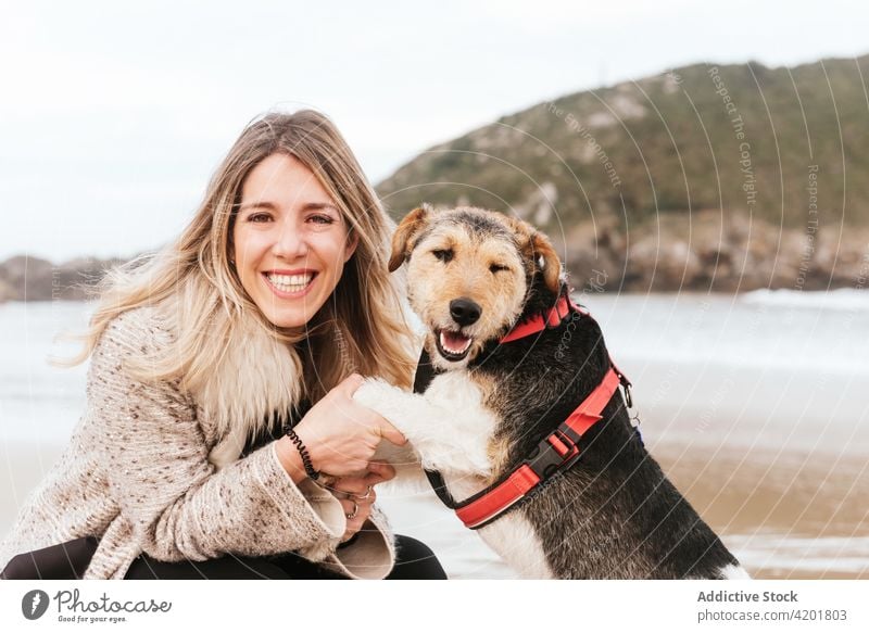 Frau umarmt Foxterrier am Meer Fox-Terrier Hund Streicheln Eckzahn Umarmung Haustier Liebe Porträt Kraulen Bonden Umarmen Zuneigung freie Zeit Wochenende MEER