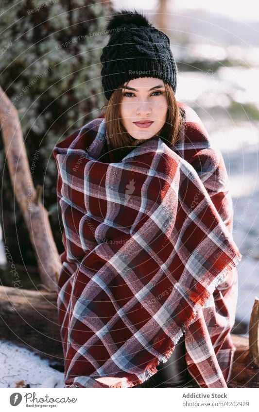 Lächelnde Frau in Decke gehüllt im Winterwald stehend Wald Plaid umhüllen Wälder Schnee Saison Inhalt kalt jung genießen Baum heiter Glück Feiertag Natur Dame