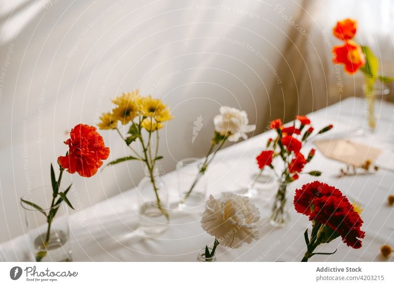 Verschiedene Blumen im Wasser auf dem Tisch in der Werkstatt frisch Tulpe Nelke Haufen Blütenblatt Blütezeit Floristik Wittern präsentieren geblümt natürlich