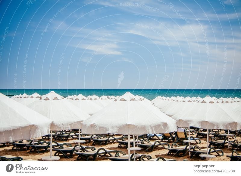 Sonnenschirme und Sonnenliegen am Strand – alle leer Sommer Außenaufnahme Meer Erholung Menschenleer Ferien & Urlaub & Reisen Farbfoto Sand Himmel Küste