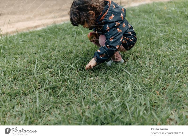 Kind spielt auf dem Gras Kindheit Mädchen 1-3 Jahre Kaukasier Neugier unschuldig authentisch Glück Tag Mensch Lifestyle Leben Natur Farbfoto Fröhlichkeit Freude