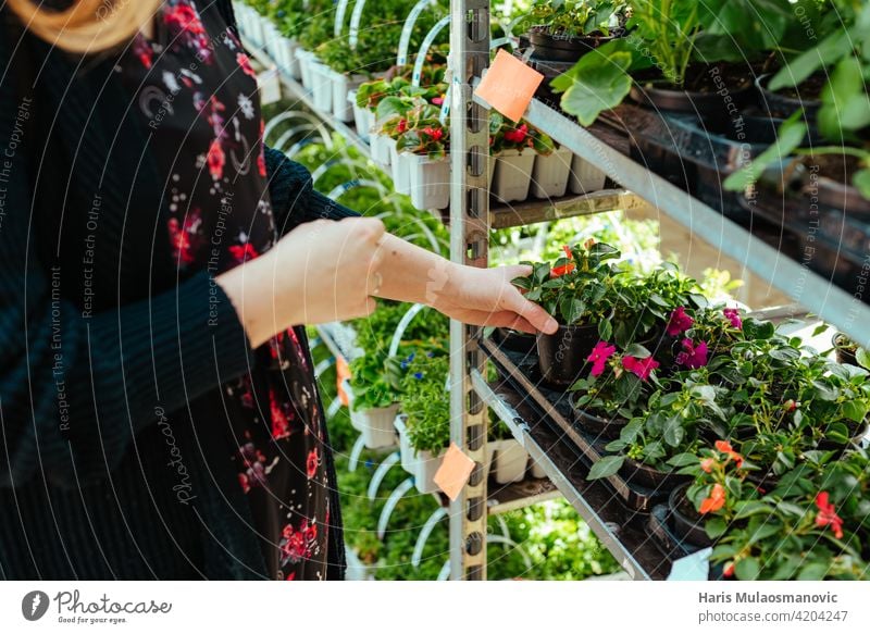 Junge Frau kauft Blumen für den Garten Großaufnahme Erwachsener Ackerbau schön Blüte kaufen Pflege Kaukasier Zentrum heiter Wahl auserwählend wählte Nahaufnahme