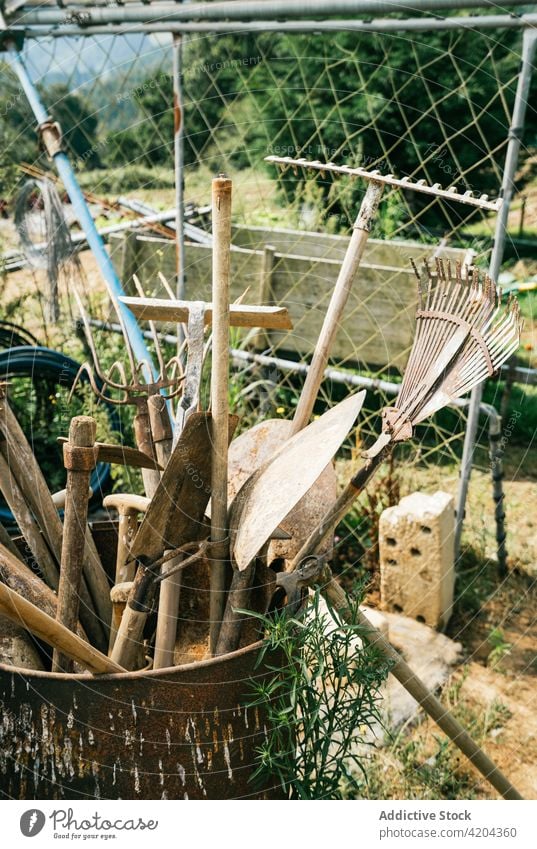 Sammlung von Gartengeräten gegen Gitterzaun auf dem Lande Bauernhof Werkzeug landwirtschaftlich Gartenbau manuell professionell Gerät Zaun Landschaft natürlich