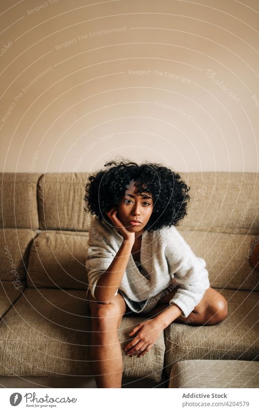 Gelassene schwarze Frau sitzt auf dem Sofa und schaut in die Kamera heimwärts Afro-Look Frisur heimisch Gelassenheit sich auf die Hand lehnen Wochenende