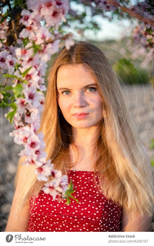 Blonde Frau mit langen Haaren posiert unter einem blühenden Mandelbaum und schaut in die Kamera Park Blüte Frühling Natur schön Baum Behaarung blond