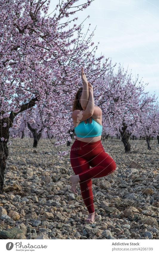 Plus Größe Frau tut Yoga in Eagle Pose in blühenden Garten üben Frühling Blüte Adler-Pose Gleichgewicht Harmonie Kurve Mandel Baum Blütezeit Sportbekleidung