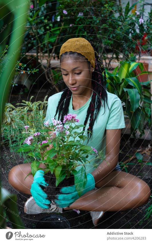 Ethnische Frau pflanzt Blumen in Töpfen im Gewächshaus Gärtner Pflanze Pflege schaufeln Rastalocken Glück Boden Hippie Topf ethnisch rastafarian schwarz Hobby