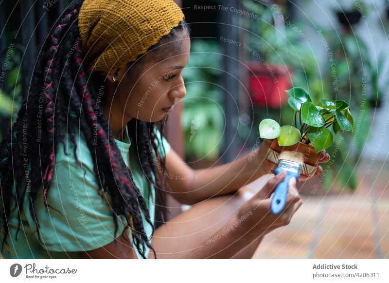 Schwarze Frau bemalt Topf mit Blume im Gewächshaus Gärtner Farbe Gartenbau Keramik Ton ethnisch schwarz Afroamerikaner Kalanchoe Blüte Blütezeit Botanik Flora