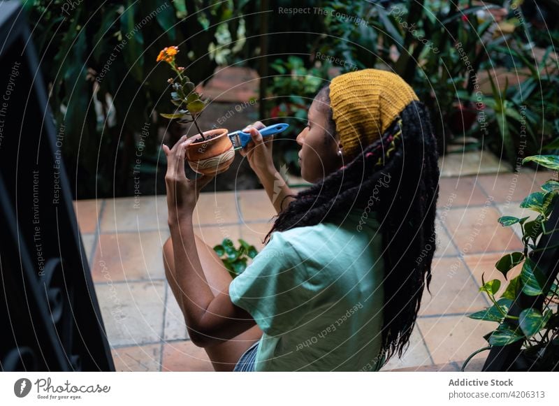 Schwarze Frau bemalt Topf mit Blume im Gewächshaus Gärtner Farbe Gartenbau Keramik Ton ethnisch schwarz Afroamerikaner Kalanchoe Blüte Blütezeit Botanik Flora