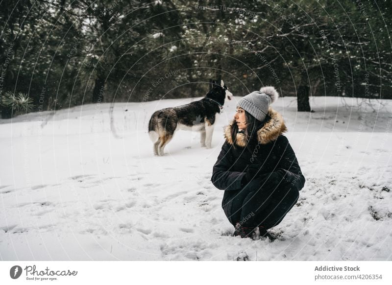 Frau mit Hund im Winterwald Husky Umarmung Wald Glück Besitzer Haustier jung Welpe gehorsam Schnee warme Kleidung loyal hocken Tier Baum Umarmen Waldgebiet