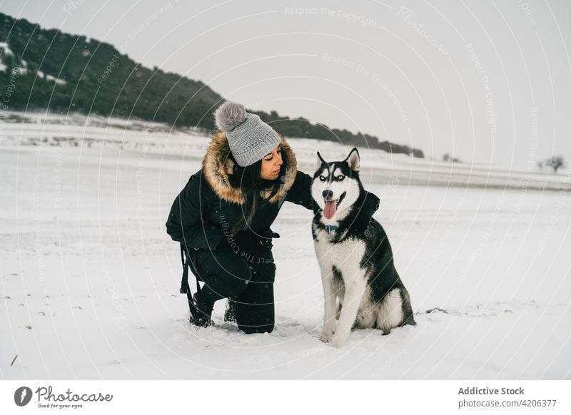 Frau umarmt Hund im Winterwald Husky Umarmung Wald Glück Besitzer Haustier jung Welpe gehorsam Schnee warme Kleidung loyal hocken Tier Baum Umarmen Waldgebiet