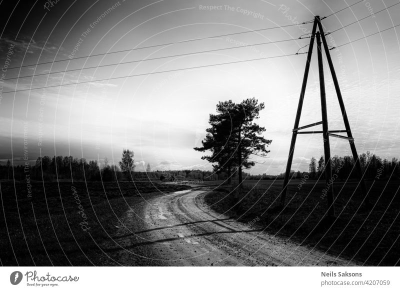 Landstraße durch grüne Weiden, Holzpfosten im Zaun, gelbe Blumen im Gras und Strommasten - Blick in den Frühlingstag Straße Sonnenuntergang Himmel Zug Eisenbahn