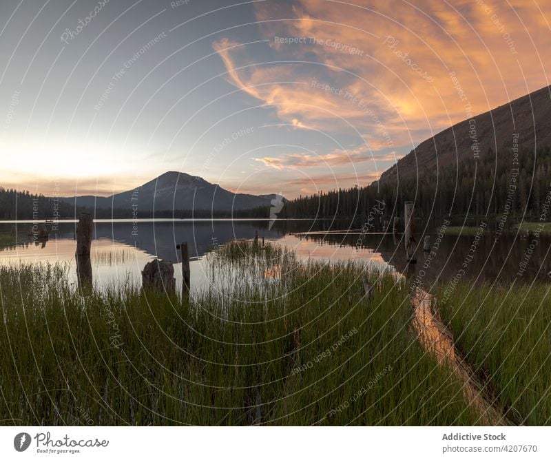 Ruhiger See gegen Berge in der Natur Küste Gras Fluss Wasser Berge u. Gebirge Abend Ständer Beitrag friedlich hölzern felsig wolkig USA amerika