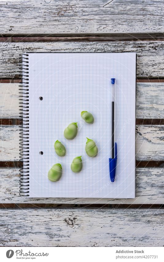 Grüne Bohnen auf einem Notizbuch auf dem Tisch Notebook frisch roh Notizblock Lebensmittel Gesundheit grün natürlich Schreibtisch Papier Page blanko hölzern